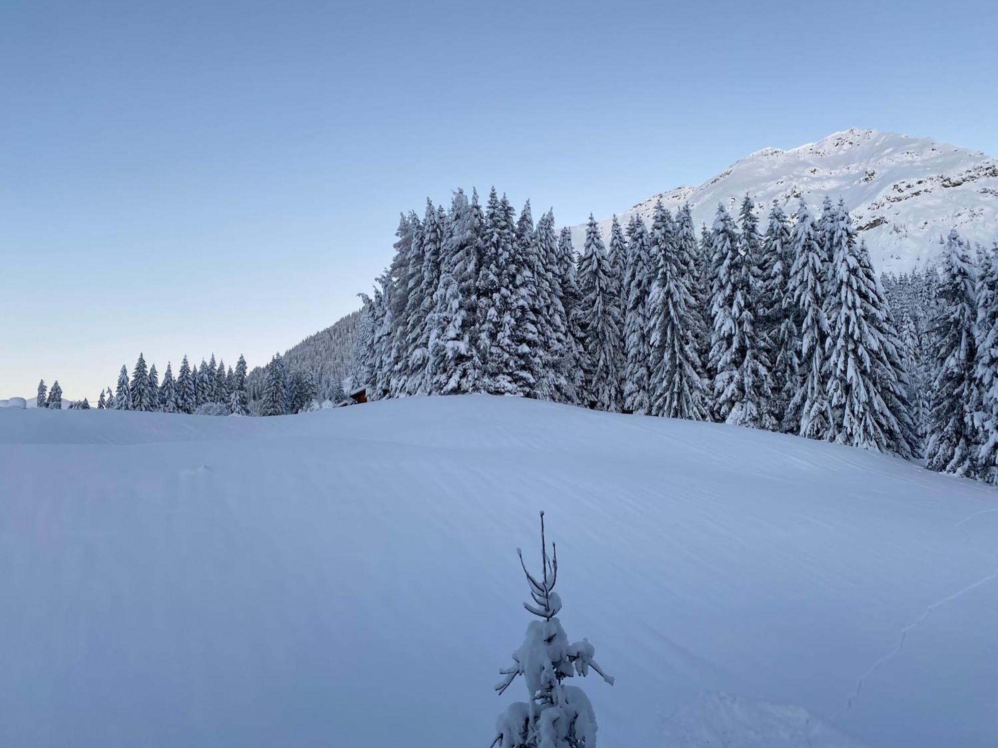 Appartementhaus Sonnalm Berwang Extérieur photo