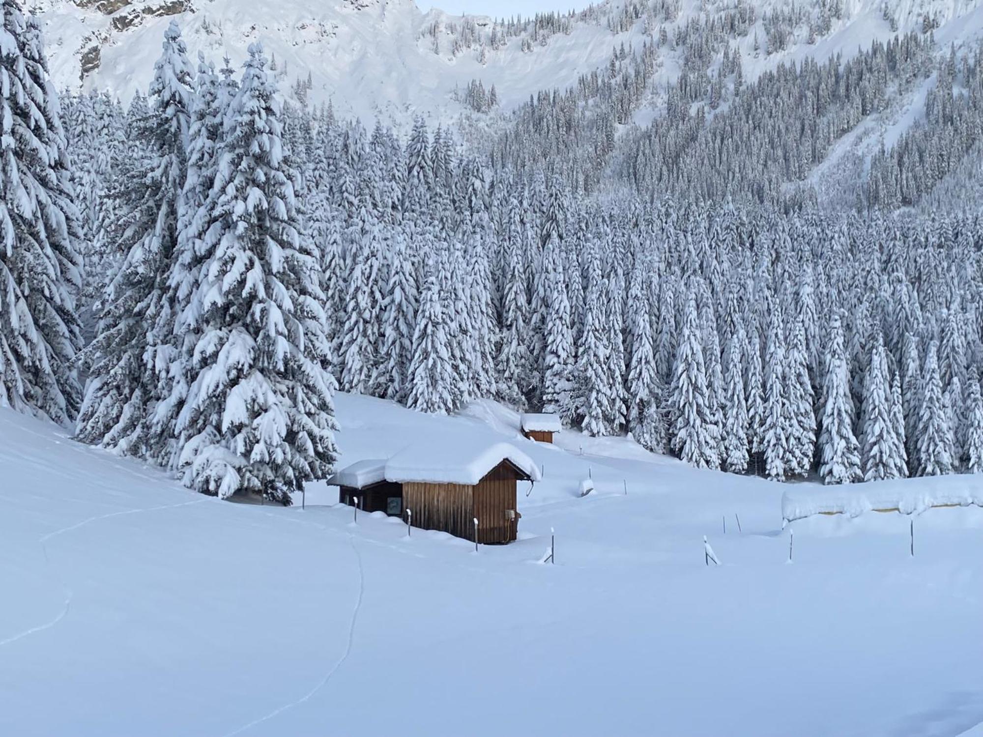 Appartementhaus Sonnalm Berwang Extérieur photo